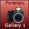 Forensic Gallery 1
